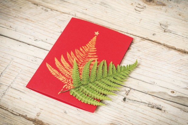 CANCELLED – Children’s Christmas crafting morning – Make your own nature inspired Christmas cards.