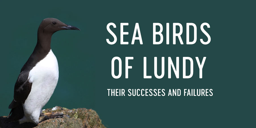 Sea Birds of Lundy talk