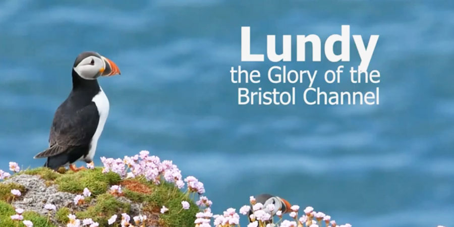Lundy : The glory of the Bristol Channel