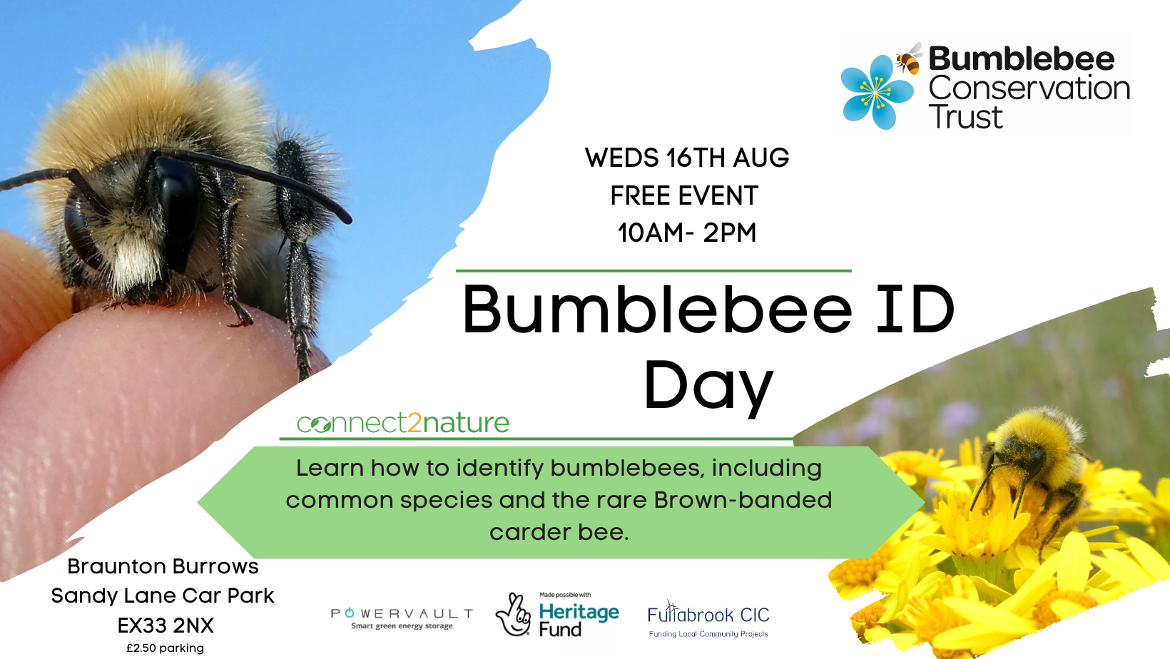 Bumblebee ID Day